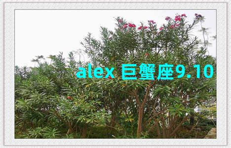 alex 巨蟹座9.10